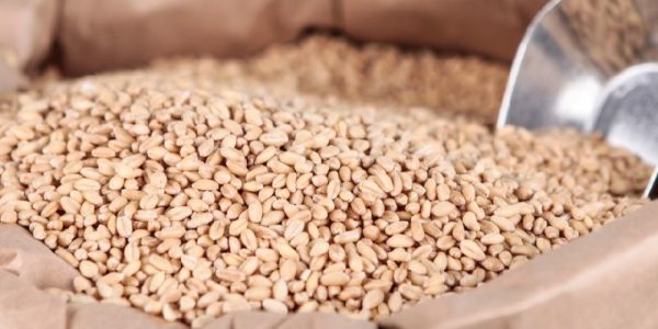 soft-milling-wheat-1504157963-3260621